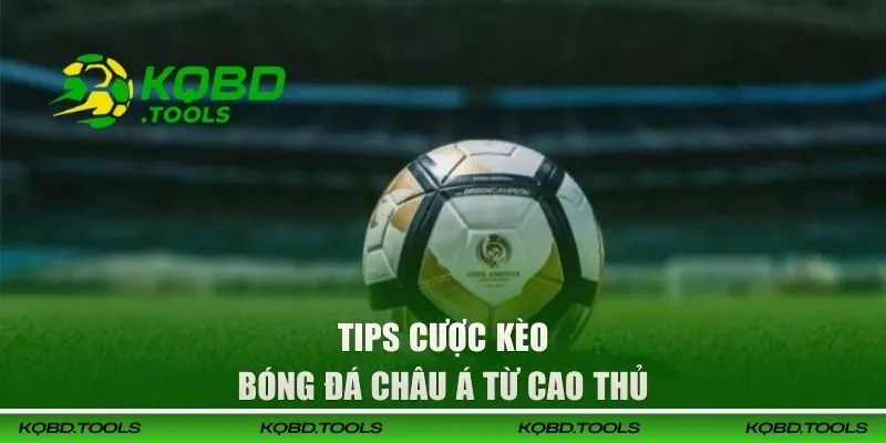 Kèo Châu Á tại KQBD | Dẫn Đầu Xu Hướng Cá Cược Thể Thao 3 Tips cược kèo bóng đá Châu Á từ cao thủ