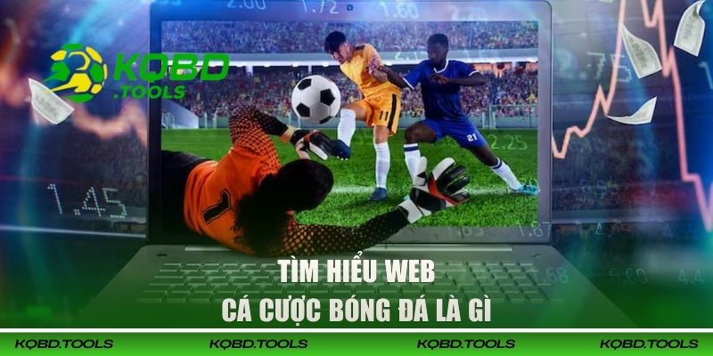 Tìm hiểu web cá cược bóng đá là gì